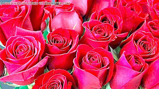 Bangla choto golpo luxurious mature saree chachi new fuck-a-thon story bangla choti golpo