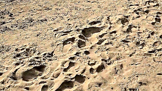 Nude Beach, People I Lost Control